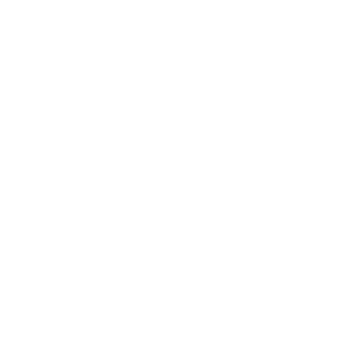 Vision