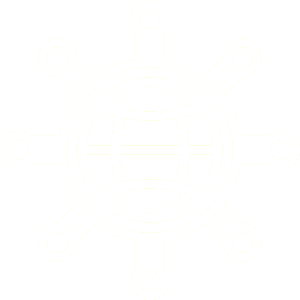 International Private Connectivity